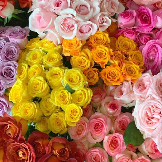【40只鲜玫瑰】云南昆明基地直发玫瑰鲜花 花色丰富 新鲜看得见 养花好心情 商品图0