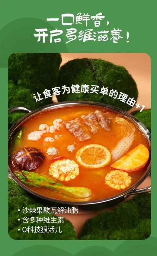 雪域喜马拉雅沙棘多维火锅底料 500g/袋 一口沙棘汤喝出健康活力 一锅料煮出独特风味！酸甜开胃超解腻，涮肉、煮菜、做酸汤鱼都超绝！ 商品图2