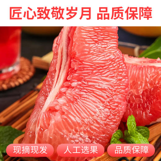 新鲜现摘红蜜柚红心柚子新鲜当季水果现摘送礼 商品图2