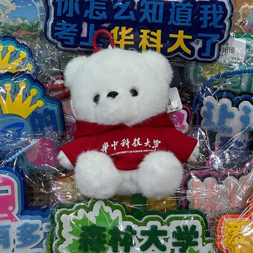 华科大毛绒卫衣纪念小熊 商品图12