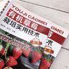 有机草莓栽培实用技术（第二版） 商品缩略图3