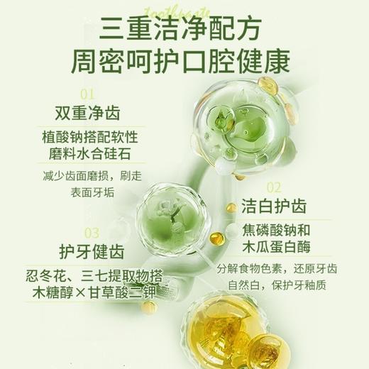 安姑娘植物洁白牙膏 无氟无香精美白氨基酸PLA环保可降解牙刷【京东快递送货上门】 商品图3