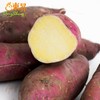 东升1号蜜薯 中大果3斤/10斤 黄心蜜薯栗粉香甜广州发货 商品缩略图3