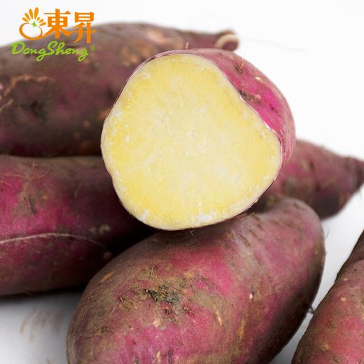东升1号蜜薯 中大果3斤/10斤 黄心蜜薯栗粉香甜广州发货 商品图3