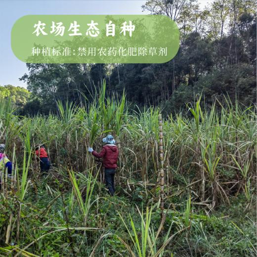 香畴象遇红糖 云南生态甘蔗原汁红糖块古法手工红糖独立小包装【京东快递送货上门】 商品图4