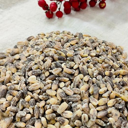 生态黑青稞米青稞米  孔荡大爱农场酵素自然农耕种植500g/袋【京东快递送货上门】 商品图1