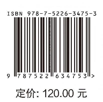 深埋长隧洞关键技术问题应对策略 商品图4