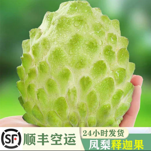 🍍 海南凤梨牛奶释迦5斤装 果肉带独特凤梨味！口感软糯如冰淇淋🐄 清甜多汁~ 送礼尝鲜都合适🎁 商品图1