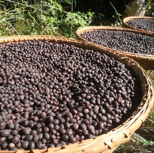 【预定现脱壳】雨林咖啡豆 咖啡粉全日晒厌氧发酵自然农耕种植咖啡豆手工制作 商品图4