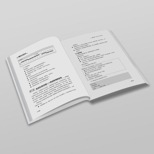 精通DeepSeek：DeepSeek全场景应用一本通 崔文竹 宁延杰 著 北京大学出版社 商品图3