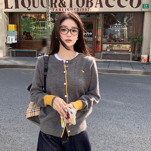 2025秋冬新款针织衫时尚百搭 显瘦减龄  A-5330-2 商品图4