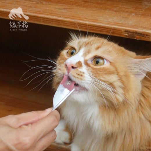 昆虫蛋白全价猫条  | 公平贸易*Full-price cat strips| Fair Trade 商品图2