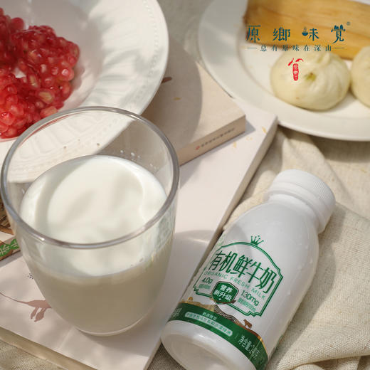 有机鲜牛奶/酸奶（基地直发-顺丰包邮）|多种规格，来自内蒙古乌兰察布【合作生产，公平贸易】 商品图12