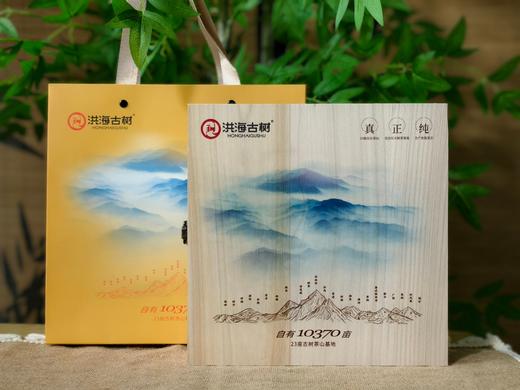 洪海古树大布朗-普洱茶【熟茶】紧压茶 商品图6