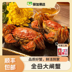 【鲜活到家】苏州大闸蟹 新鲜捕捞 顺丰包邮