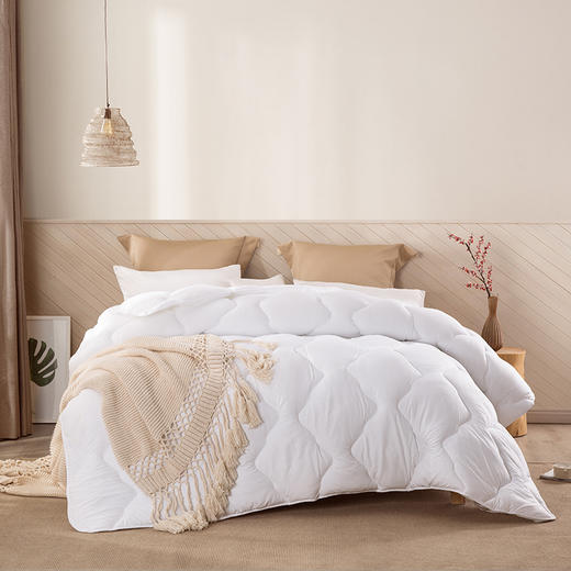 LOVO乐蜗XS NT-  轻柔蓬蓬冬被 白色 商品图0