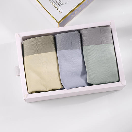 美奈川 莫代尔盒装男裤DK13070 商品图0