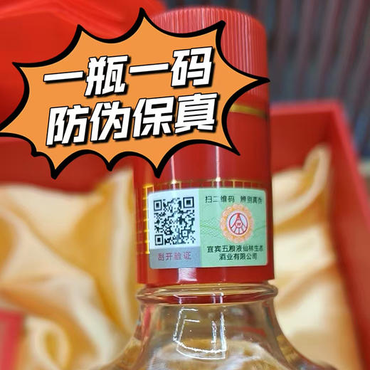 顺丰发货！【五粮液奢享·大师版双支装】52°浓香型白酒，四大白酒大师力推高端系列，500ml*2瓶/盒 商品图1