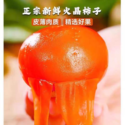 陕西火晶柿子 商品图1