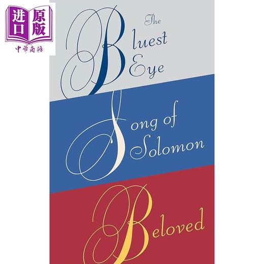 【中商原版】托妮莫里森作品套装 最蓝的眼睛 所罗门之歌 宠儿 Toni Morrison Box Set 英文原版 Toni Morrison 商品图1