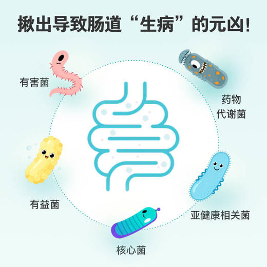 肠道菌群16S基因粪便居家检测微生态调节免疫代谢改善 商品图2