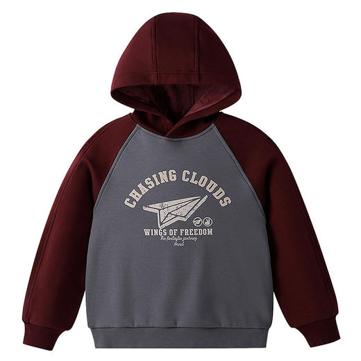 【实体店同款】男女童带帽长袖卫衣冬季新款安奈儿童装AM541412 商品图5