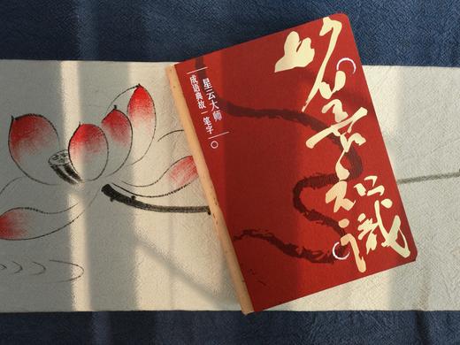 妙善知识——星云大师成语典故一笔字笔记本 商品图0