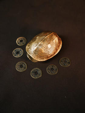 占上风-龟壳铜钱 ｜课程复购装备| 直播专属｜元和学院