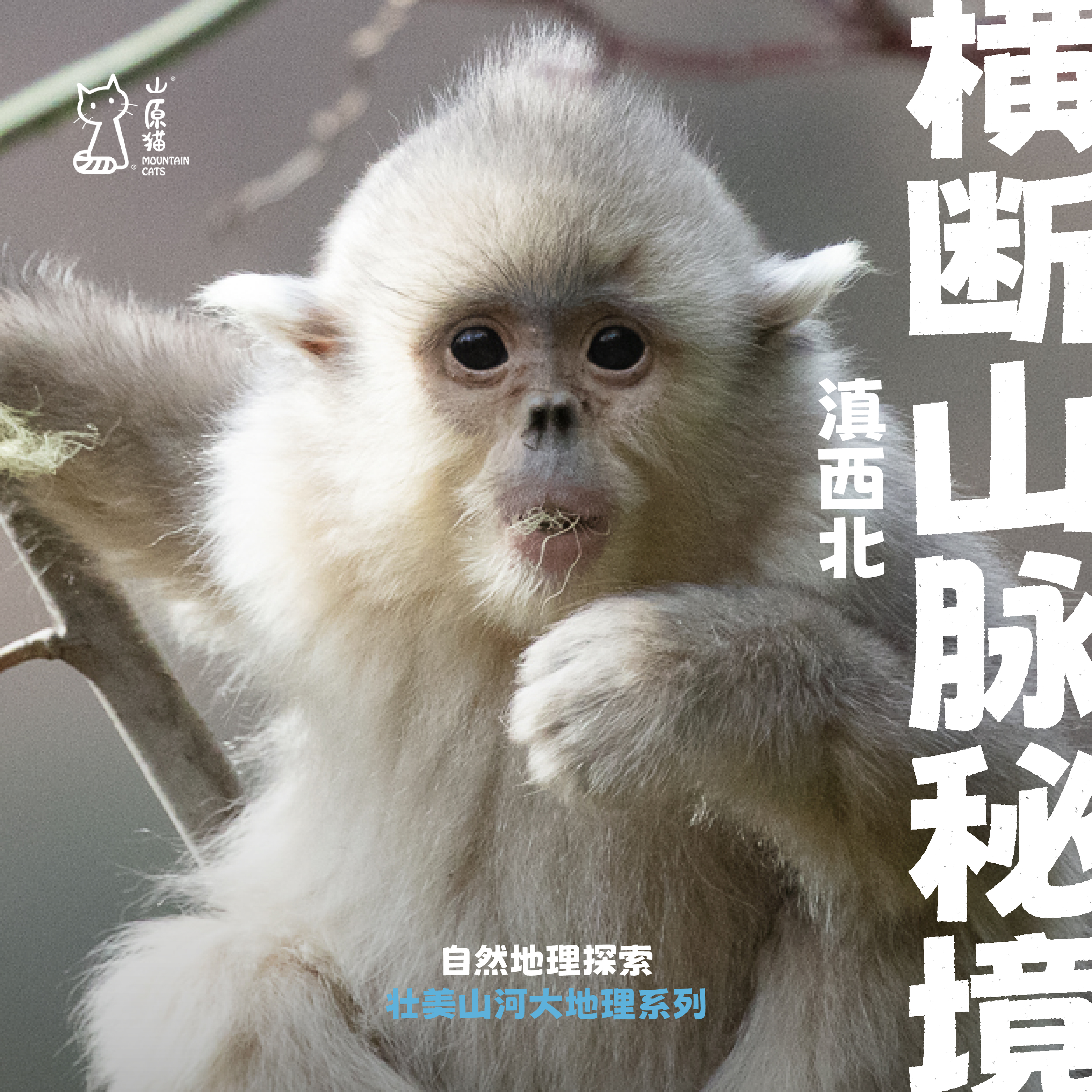 「寒假1.26-2.1」走进横断山秘境 · 滇西北博物探索之旅