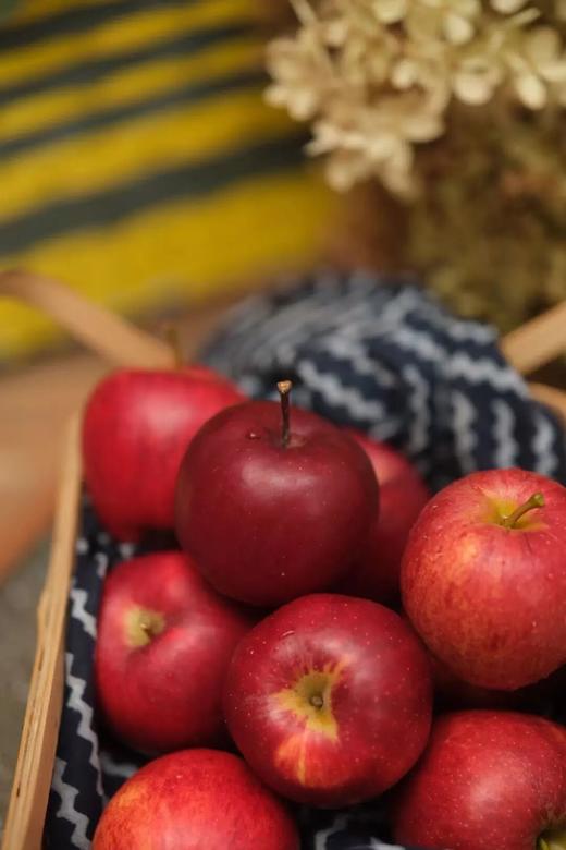 出口级|米其林餐厅同款香格里拉雪域苹果！3300米高原的极致味觉享受！ 商品图3