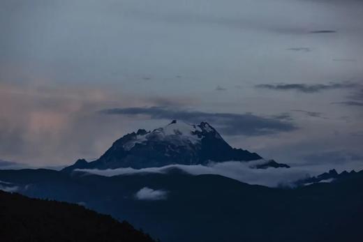 出口级|米其林餐厅同款香格里拉雪域苹果！3300米高原的极致味觉享受！ 商品图1