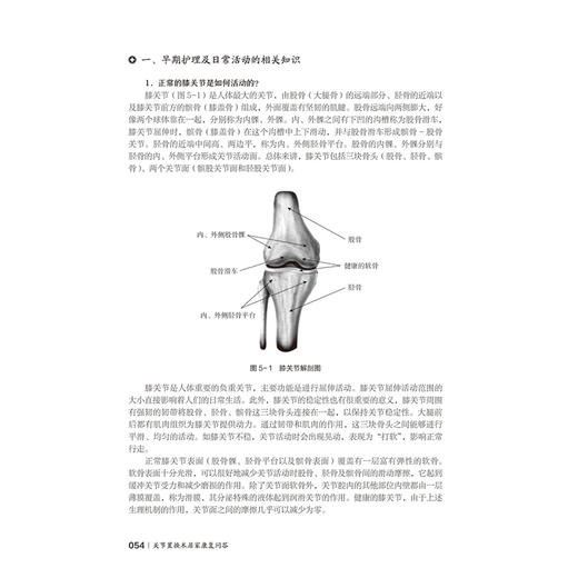 关节置换术居家康复问答 守护健康—北大护理健康科普系列丛书 郑群怡 安思兰 围绕关节置换术的居家康复等问题北京大学医学出版社 商品图4
