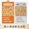 丙田 纯燕麦麸皮500g 澳洲轻食代餐粉燕麦片无0 加蔗糖脂肪高膳食纤维 /水饮冲调 /冲饮谷物 /麦片 商品缩略图6