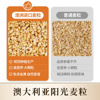 丙田 纯燕麦麸皮500g 澳洲轻食代餐粉燕麦片无0 加蔗糖脂肪高膳食纤维 /水饮冲调 /冲饮谷物 /麦片 商品图6