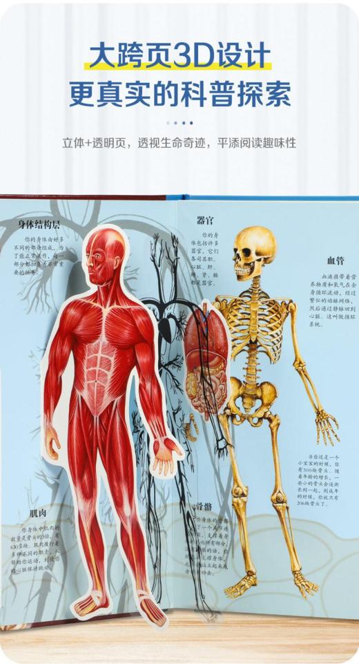 乐乐趣  3-8岁科普立体书揭秘 恐龙、人体、海洋、昆虫10册礼包 商品图4