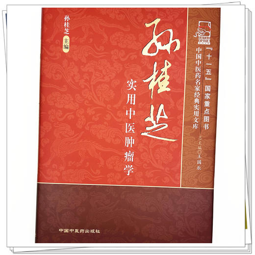 孙桂芝实用中医肿瘤学 孙桂芝 主编 王国辰 总主编 中国中医药名家经典实用文库 中国中医药出版社 商品图3