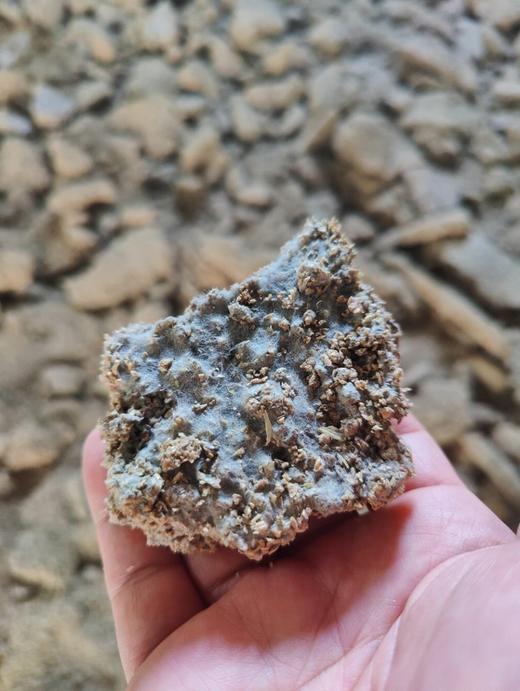 谷养陈醋：山西老陈醋（五年） 商品图13