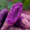 【云南香芋紫薯】肉质细腻 软糯香甜  皮薄易剥 新鲜美味 解锁紫薯多样吃法 4种规格任选 商品缩略图0