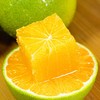 哀牢山冰糖橙【5斤29元】丨满满维C 自然的清甜 商品缩略图0