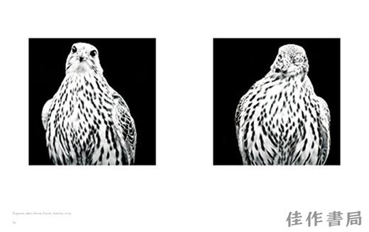 Christine Turnauer: Presence / 克里斯汀·特纳尔：存在 商品图4