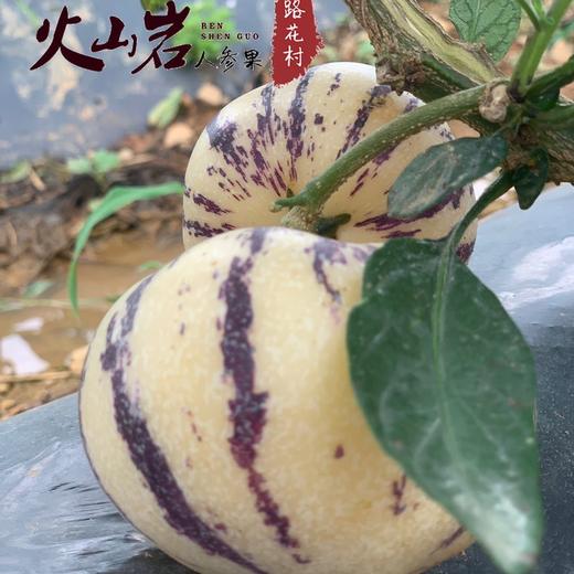 京东发货【云南火山岩树上熟-核心产区路花村人参果】水果界的“灌汤包” ，云南地标农产品,约95%的可食率 商品图5