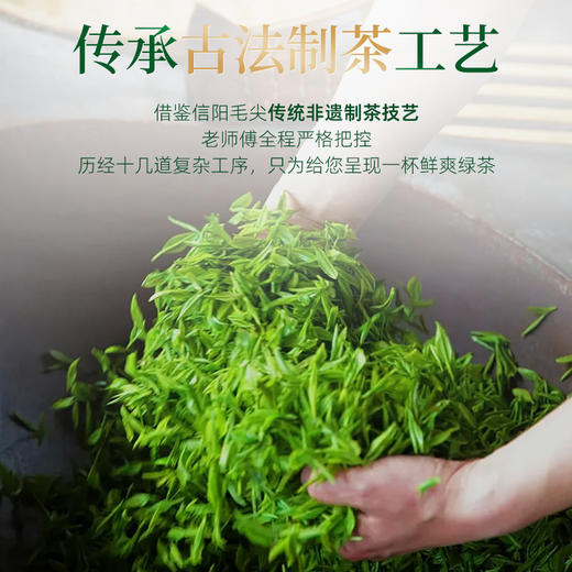 茶马世家 信阳绿茶 口粮茶250g大分量装 商品图4