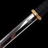汉风华威 汉唐收藏刀剑 龙泉沈广隆宝剑一体刀剑 未开刃 商品缩略图3
