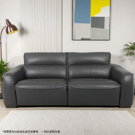 【家具】客厅简约大气真皮沙发RSH01