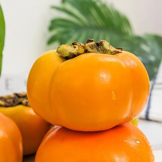 云南保山甜脆柿 自带冰糖心无核不涩口 满口甜脆好过瘾 商品图1