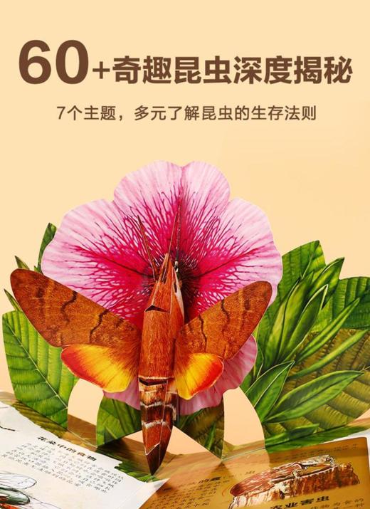 乐乐趣  3-8岁科普立体书揭秘 恐龙、人体、海洋、昆虫10册礼包 商品图1