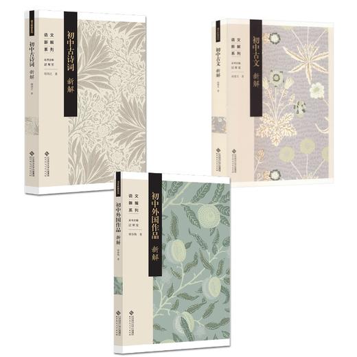 (3册)初中古诗词新解+初中外国作品新解+初中古文新解 商品图0