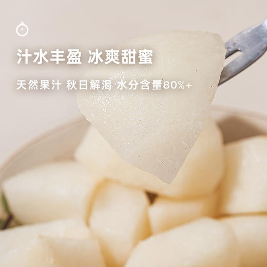 企鹅市集|山东莱阳有机秋月梨 4粒/5粒装可选 酥脆化渣 一口冰糖甜 精品梨园出品 商品图3