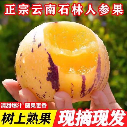 京东发货【云南火山岩树上熟-核心产区路花村人参果】水果界的“灌汤包” ，云南地标农产品,约95%的可食率 商品图1