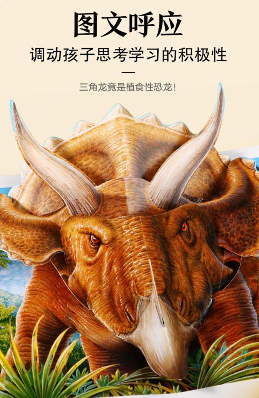 乐乐趣  3-8岁科普立体书揭秘 恐龙、人体、海洋、昆虫10册礼包 商品图3
